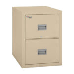 FireKing Patriot File Cabinets 2P1825-CPA 2-Drw Ltr / Lgl 25" depth
