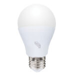 10-watt (60-watt equivalent) A-19 LED bulb - IUSA
