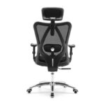 SIHOO/ Ergonomic Office Chair-Mesh Design High Back Black - Image 2